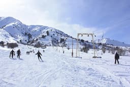 Амирсой